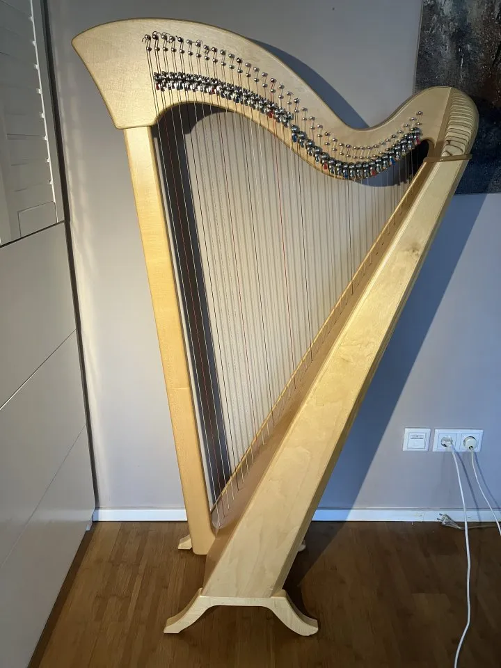 Hakenharfe Annabell Riedel