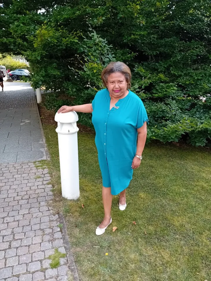 Konzertharfe zum Mieten Gesucht