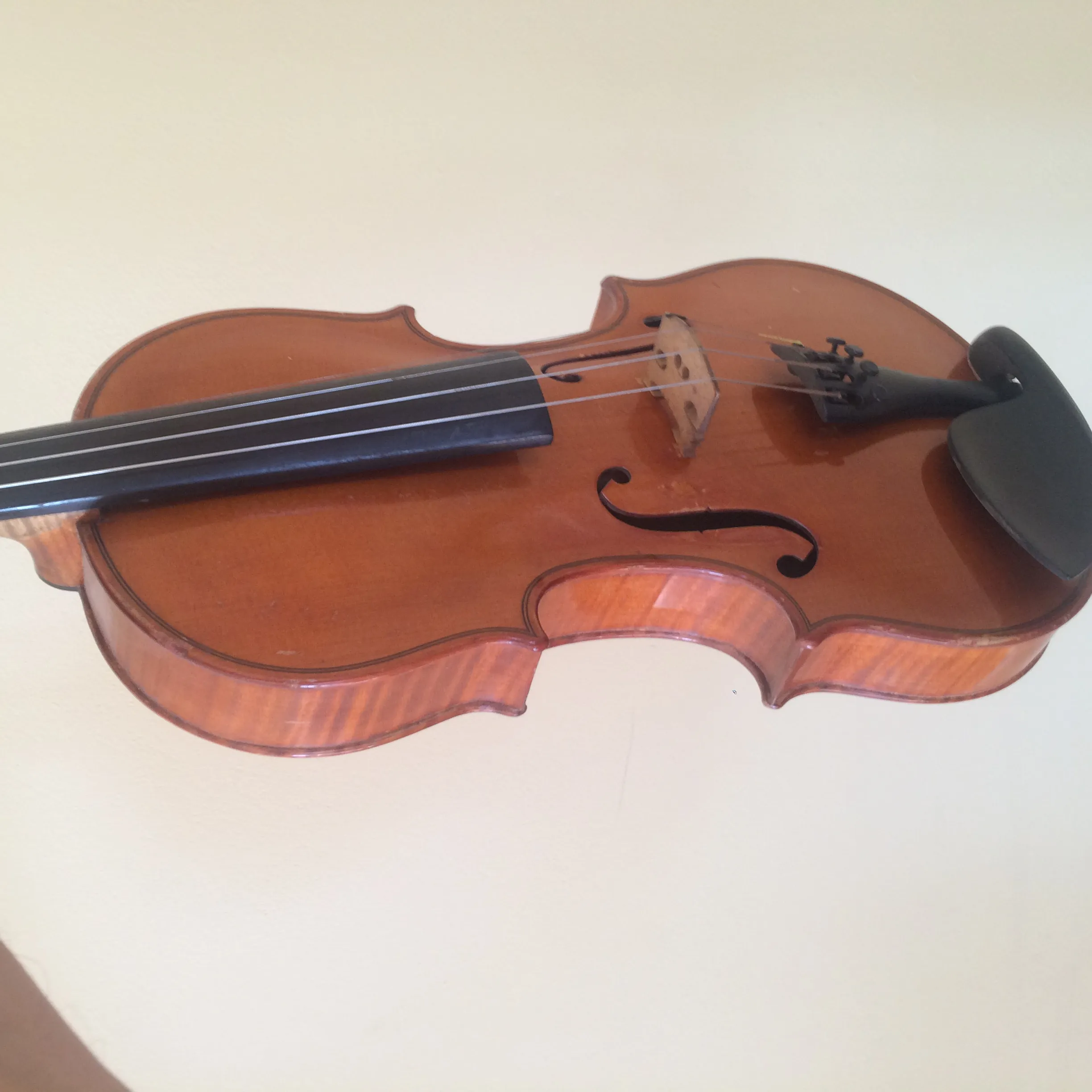 Violine zu verkaufen