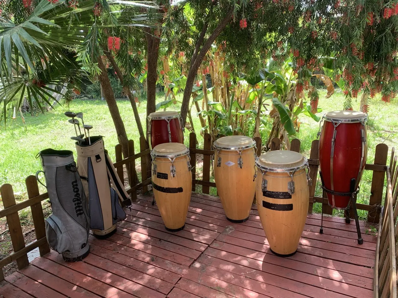 Rarität: 3 Congas von PJ Percussion