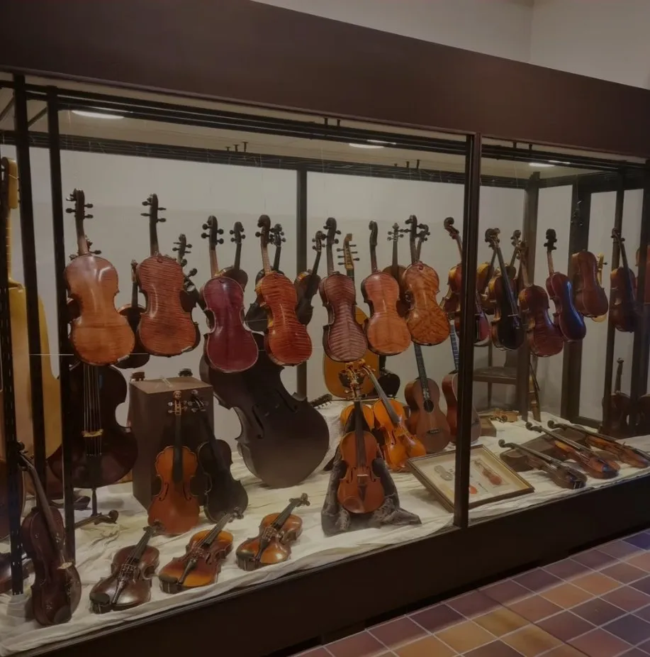 Vitrine mit Sammlung von Streich- und Saiteninstrumenten