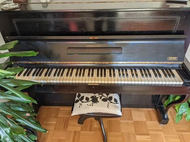 Klavier Steinway & Sons